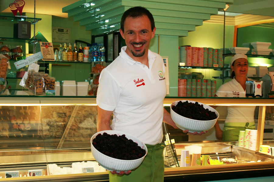 Andrea Soban mostra le More di Gelso andrea_soban_gelsi