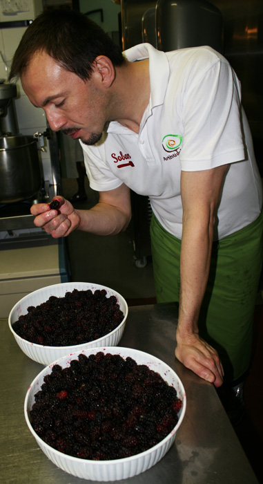 assaggio_more