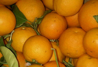 biondadelgargano_box